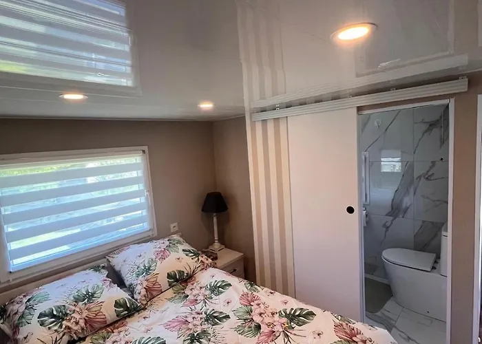 Borzygniew, Borzyraj 1 Borzygniew